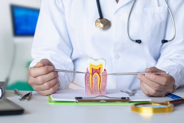Best Emergency Broken Tooth Repair in Jonesboro, AR
